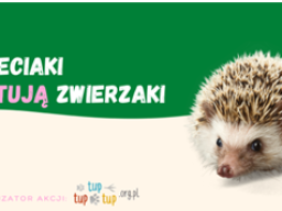 świetlica_programy
